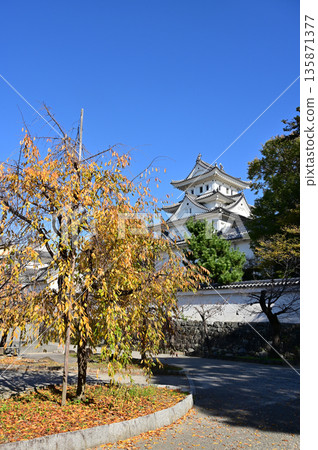 Castle tower and autumn cherry blossoms (Ogaki Castle) Castle tower and autumn cherry blossoms (Ogaki Castle) 135871377