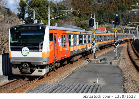 為慶祝五日市線開通100週年而特別塗裝的E233系列0號藍色660列車 135871528