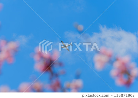 一架小型飛機飛在蔚藍的春日天空中，遠處櫻花漸漸模糊。 135871902