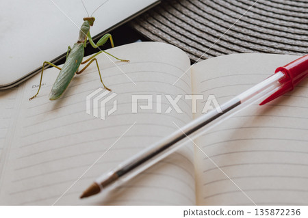 Creative inspiration: praying mantis observing a workspace with a laptop and paper Creative inspiration: praying mantis observing a workspace with a laptop and paper 135872236