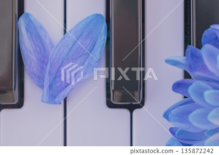 First love melody: a heart of petals on piano keys, evoking tender, nascent emotions First love melody: a heart of petals on piano keys, evoking tender, nascent emotions 135872242