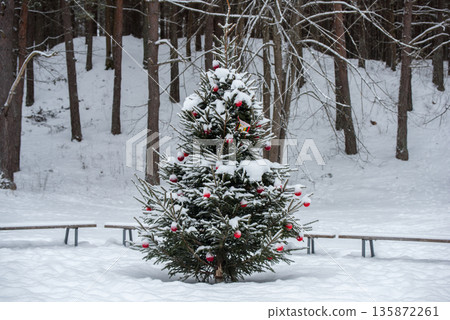 Christmas tree was decorated with Christmas tree decorations in a snowy forest Christmas tree was decorated with Christmas tree decorations in a snowy forest 135872261