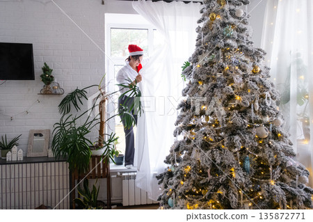 A woman hang up white curtain on the window, preparation for the Christmas and New Year, fairy lights in the interior of a house with a Christmas tree A woman hang up white curtain on the window, preparation for the Christmas and New Year, fairy lights in the interior of a house with a Christmas tree 135872771