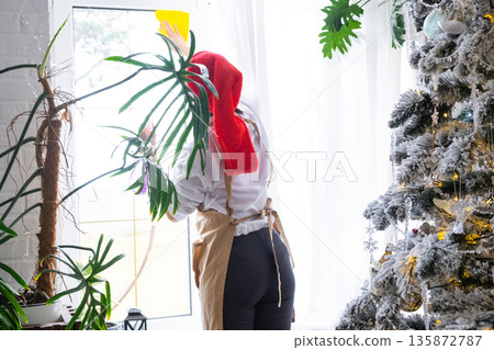 Woman in a Santa hat and apron cleans window near Christmas tree, preparing for the New Year, decorating and tidying up the house Woman in a Santa hat and apron cleans window near Christmas tree, preparing for the New Year, decorating and tidying up the house 135872787