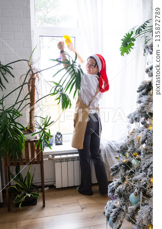 Woman in a Santa hat and apron cleans window near Christmas tree, preparing for the New Year, decorating and tidying up the house 135872789