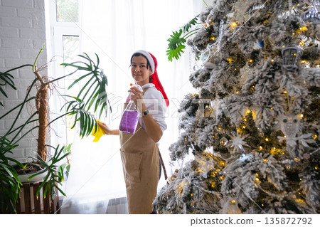 Woman in a Santa hat and apron cleans window near Christmas tree, preparing for the New Year, decorating and tidying up the house 135872792