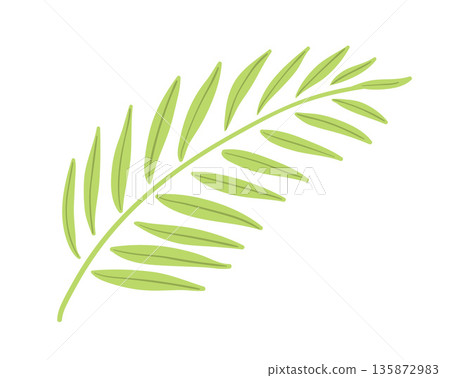Palm leaf illustration 135872983
