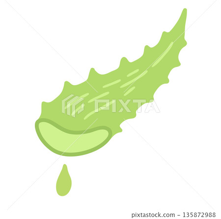 Aloe vera with gel drop 135872988