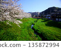 山巒疊嶂，碧空如洗，河岸邊櫻花盛開。 135872994