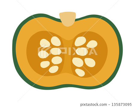 可愛的南瓜橫切面圖 135873095