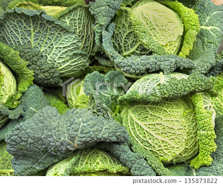 Savoy cabbage pile Savoy cabbage pile 135873822
