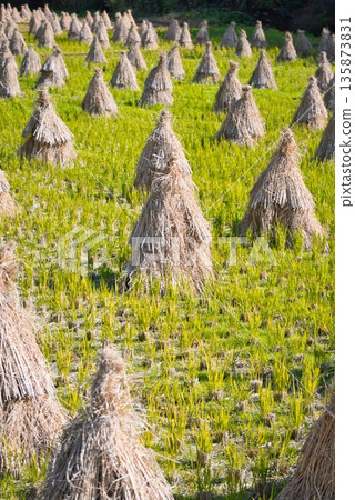 Straw stand 135873831
