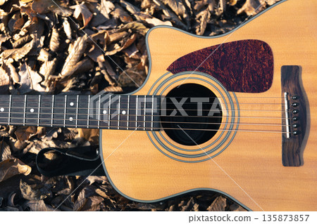 Acoustic guitar in the forest among dry autumn leaves. 135873857