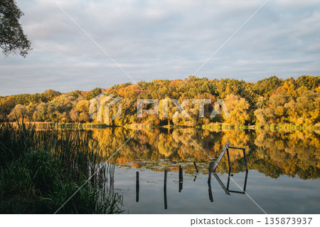 Autumn landscape with a forest over a lake, natural background. 135873937