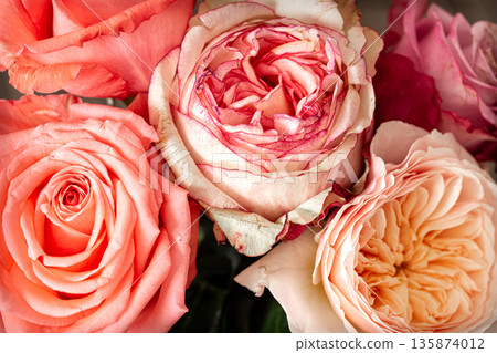 Beautiful fresh roses of different colors close up. 135874012