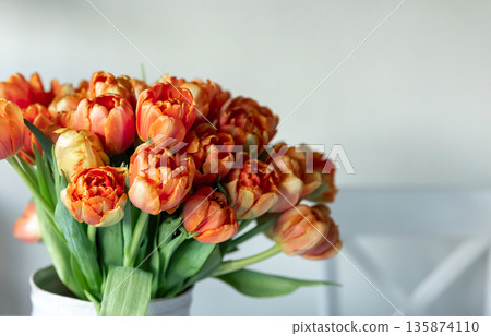 Bouquet of orange tulips in a vase on a blurred light background. Bouquet of orange tulips in a vase on a blurred light background. 135874110