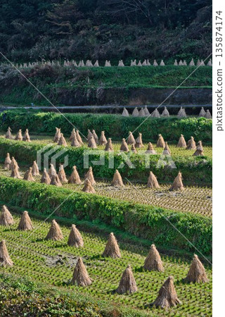 Straw stand 135874174