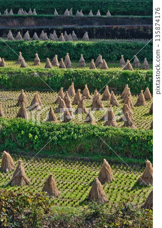 Straw stand Straw stand 135874176