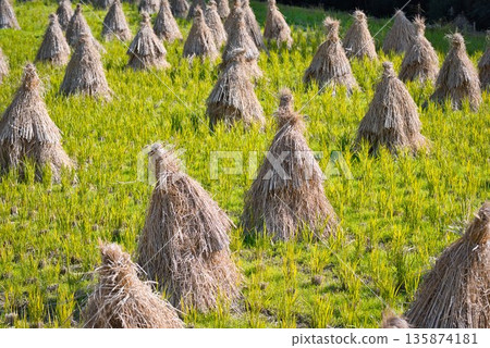 Straw stand 135874181