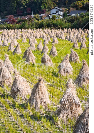 Straw stand Straw stand 135874183