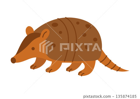 Brown armadillo. Cute flat vector animal design for wildlife and educational illustrations 135874185