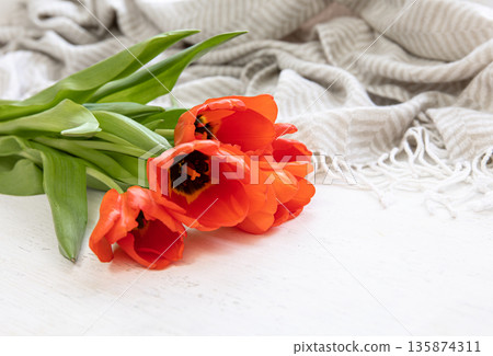 Close-up, red tulips on a blurred background in the interior of the room. Close-up, red tulips on a blurred background in the interior of the room. 135874311