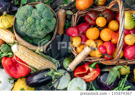 Composition of fresh vegetables on blurred vegetable garden background. Composition of fresh vegetables on blurred vegetable garden background. 135874367