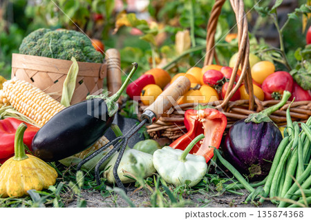 Composition of fresh vegetables on blurred vegetable garden background. Composition of fresh vegetables on blurred vegetable garden background. 135874368