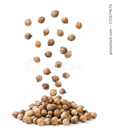 Coriander seeds falling on a pile on a white background. Isolated Coriander seeds falling on a pile on a white background. Isolated 135874678