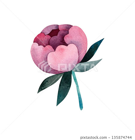 A stunning single watercolor peony flower in soft pink hues, complemented by vibrant turquoise leaves, set against a pristine white background. A stunning single watercolor peony flower in soft pink hues, complemented by vibrant turquoise leaves, set against a pristine white background. 135874744