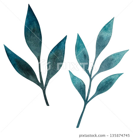 A vibrant watercolor illustration featuring lush turquoise peony leaves against a crisp white background. A vibrant watercolor illustration featuring lush turquoise peony leaves against a crisp white background. 135874745