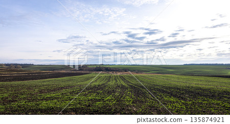 Rural landscape, beautiful field and sky with clouds. Rural landscape, beautiful field and sky with clouds. 135874921