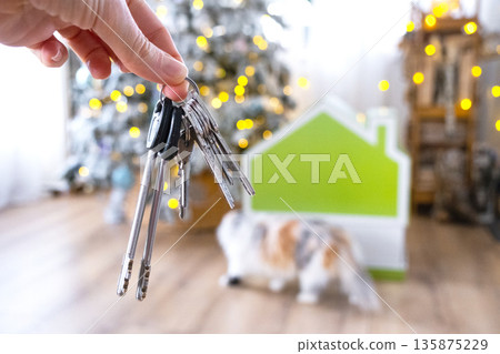Keys in hand on background fairy lights Christmas tree and tiny house gift and cat for New Year, Christmas. Building, design, project, moving, insurance, mortgage, rent and purchase real estate. Keys in hand on background fairy lights Christmas tree and tiny house gift and cat for New Year, Christmas. Building, design, project, moving, insurance, mortgage, rent and purchase real estate. 135875229