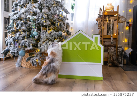 Christmas tree decor tiny house of small size and cat in interior home. Gift for New Year, Pet house. Insurance, moving to new house, mortgage, rent and purchase real estate Christmas tree decor tiny house of small size and cat in interior home. Gift for New Year, Pet house. Insurance, moving to new house, mortgage, rent and purchase real estate 135875237