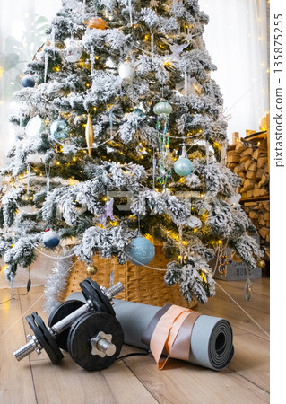 Sports equipment dumbbells, a fitness mat, and fitness bands lie under the Christmas tree at home as a gift for Christmas and New Year Sports equipment dumbbells, a fitness mat, and fitness bands lie under the Christmas tree at home as a gift for Christmas and New Year 135875255