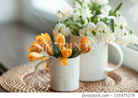Spring composition with snowdrops and crocuses, close up. 135875279