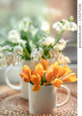 Spring composition with snowdrops and crocuses, close up. 135875280