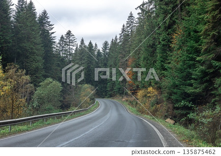 Winding road in a mountainous area in a coniferous forest. 135875462