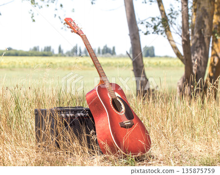 guitar in nature 135875759
