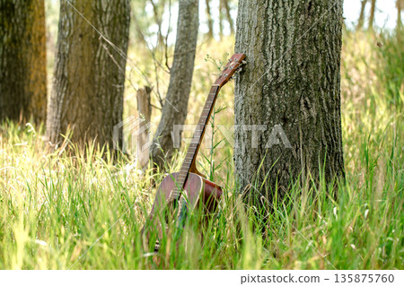 guitar in nature 135875760