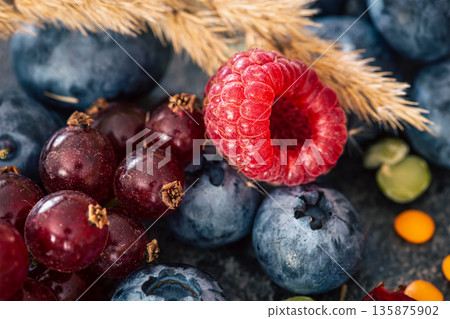 Natural background with different wild berries, macro shot. 135875902