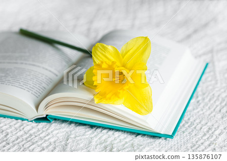 Yellow narcissus flower and open green book, close-up. Yellow narcissus flower and open green book, close-up. 135876107
