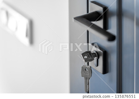 Keys in lock. Blue door panel. Clean space. 135876551