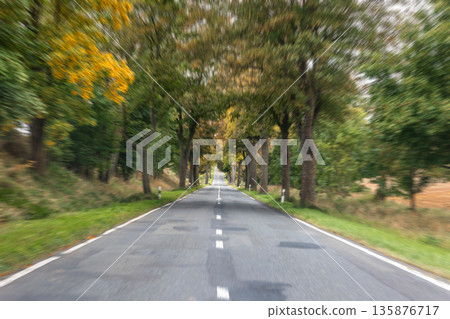 Tree lined road in autumn forest. Peaceful perspective. Tree lined road in autumn forest. Peaceful perspective. 135876717