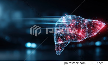 Digital illustration of a human liver, composed of glowing particles and lines, representing health, technology, and medical advancements in a futuristic environment 135877249