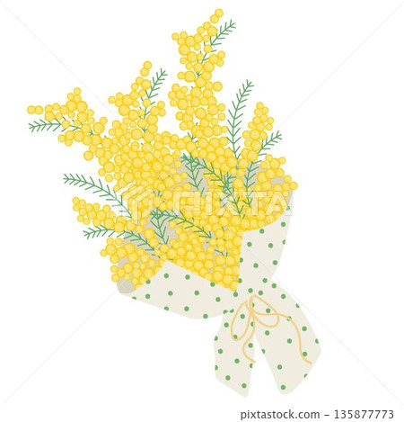 Bouquet of yellow mimosa wrapped in decorative paper with dots, tied with a ribbon. Floral illustration in a soft, elegant style for spring holidays 135877773