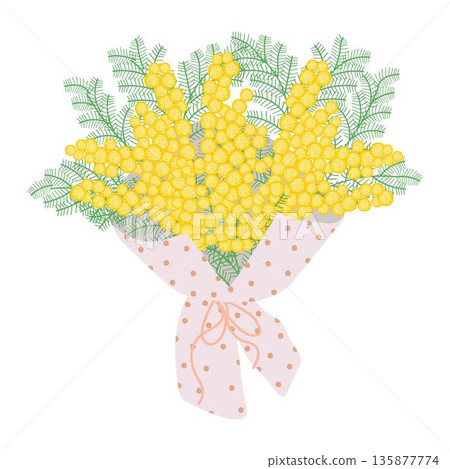 Bouquet of yellow mimosa wrapped in decorative paper with dots, tied with a ribbon. Floral illustration in a soft, elegant style for spring holidays Bouquet of yellow mimosa wrapped in decorative paper with dots, tied with a ribbon. Floral illustration in a soft, elegant style for spring holidays 135877774