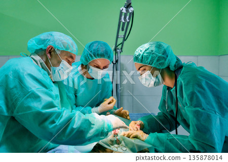 Medical Team Performs Surgical Procedure In Operating Room With Green Gowns And Masks During Anesthesia Medical Team Performs Surgical Procedure In Operating Room With Green Gowns And Masks During Anesthesia 135878014