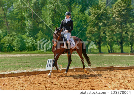 Equestrian dressage competition, woman riding horse in outdoor arena, performing test, horse and rider in harmony, sport and recreation, nature background, sunny day. Equestrian dressage competition, woman riding horse in outdoor arena, performing test, horse and rider in harmony, sport and recreation, nature background, sunny day. 135878064