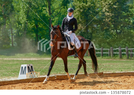 Equestrian dressage competition, woman riding horse in outdoor arena, performing dressage test, horse and rider in harmony, equestrian sport, nature background. Equestrian dressage competition, woman riding horse in outdoor arena, performing dressage test, horse and rider in harmony, equestrian sport, nature background. 135878072
